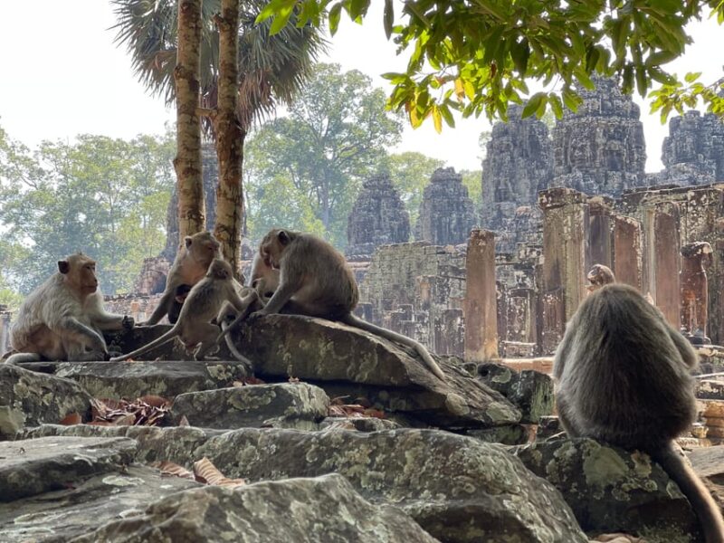 Angkor Highlights: Private Tour With Banteay Srei - Bayon Temple Discovery