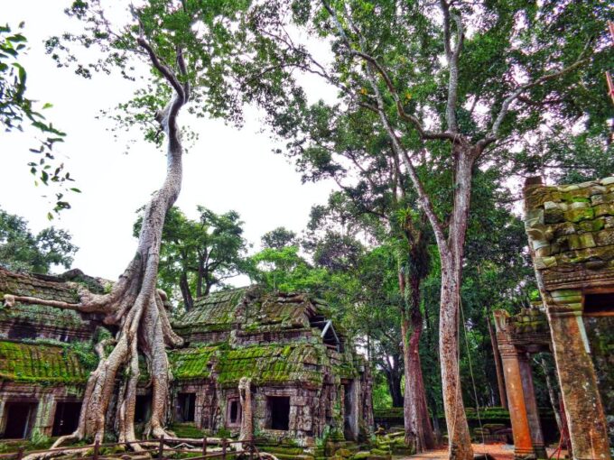 Angkor Region: 3-day Private Tour of Top Temples - Customer Reviews and Ratings