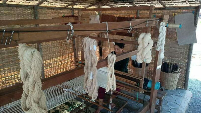 Angkor Silk Farm & Lotus Silk Farm: Siem Reap Discovery Tour - Exploring the Itinerary in Detail