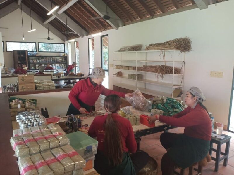 Angkor Silk Farm, Senteurs Dangkor & Satcha Handicraft - Silk Farm Exploration