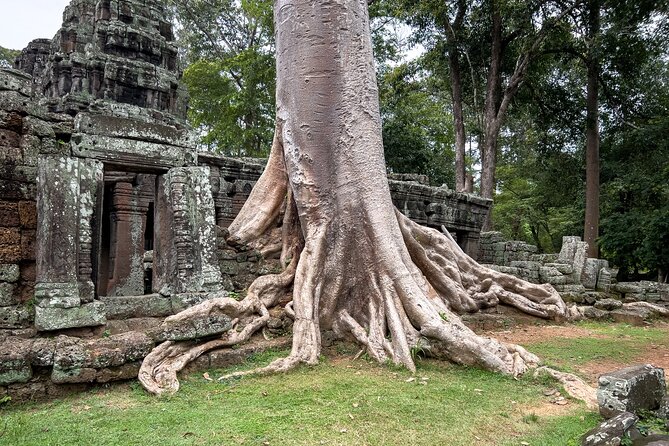 Angkor Sunrise Tour by Bike With Breakfast, Lunch & Tour Guide - Logistics