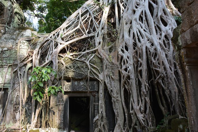 Angkor Wat 2-Day Tour From Bangkok - Traveler Suitability