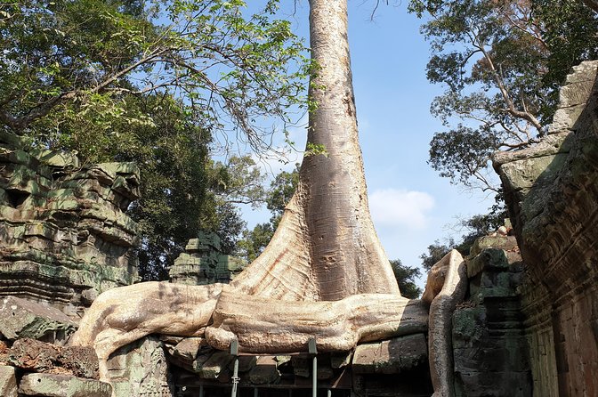 Angkor Wat Full Day Tour in Siem Reap Small-Group - Accessibility and Policies