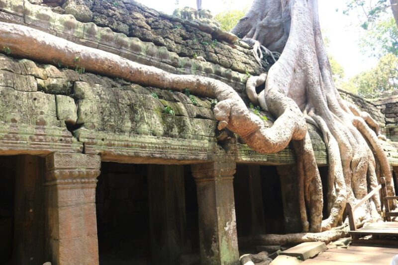 Angkor Wat: Highlights and Sunrise Guided Tour - Important Information