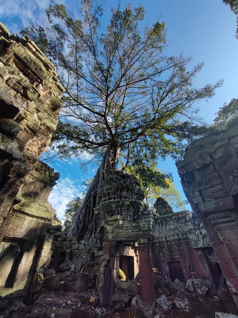 Angkor Wat Imaginary Experience - Social and Cultural Immersion
