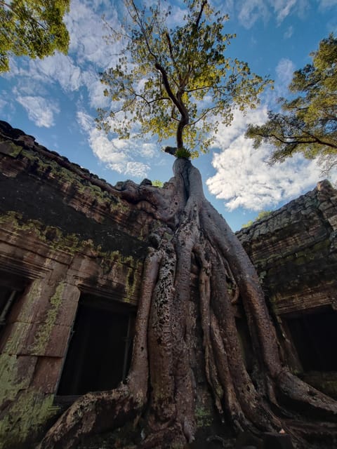 Angkor Wat Imaginary Experience - Timeless Atmosphere