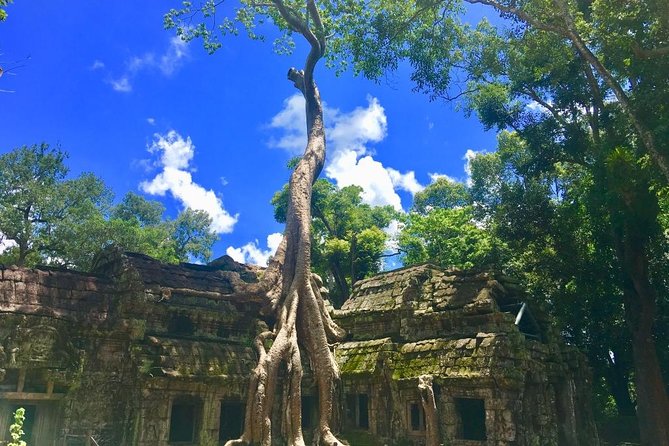 Angkor Wat One Day Private Tour for All Highlight Angkor Temples - English-Speaking Guide