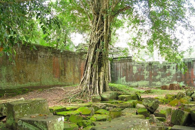 Angkor Wat Private Tour With English Speaking Driver, NO Guide - Reviews and Ratings