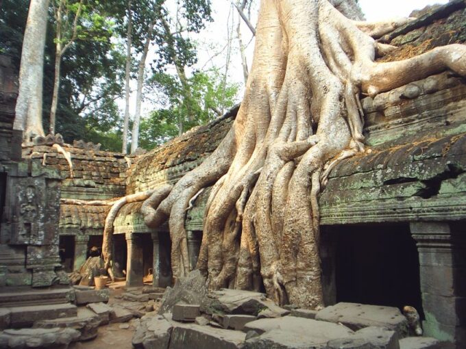 Angkor Wat: Small-Group Tour With Balloon Ride and Lunch - Frequently Asked Questions