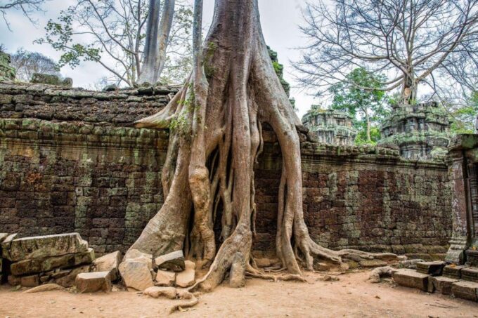 Angkor Wat Small Tour With Private Tuk Tuk - Cancellation Policy