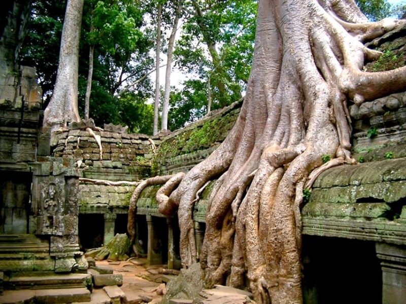 Angkor Wat Sunrise Photography and Temples Adventure Tour - Inclusions
