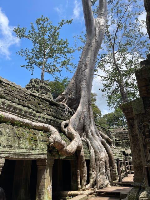 Angkor Wat Sunrise Small Group Tour in Siem Reap - Additional Notes