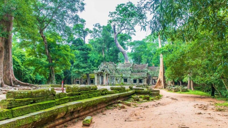 Angkor Wat Sunrise, Ta Promh, Banteay Srei, Bayon Day Tour - Itinerary Highlights