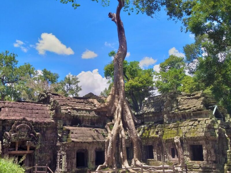 Angkor Wat Sunrise, Ta Promh, Banteay Srei, Bayon Day Tour - Angkor Wat Sunrise