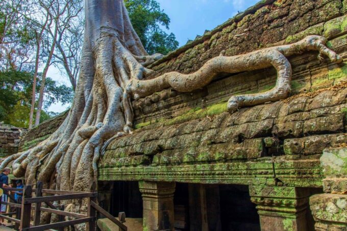 Angkor Wat Sunrise, Ta Promh, Banteay Srei, Bayon Day Tour - Angkor Thom Complex