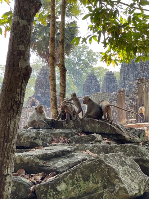 Angkor Wat Sunrise & Tonle Sap Lake Floating Village Tour - Included and Excluded