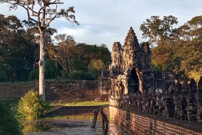 Angkor Wat Sunrise Tours to Bayon and Ta Prohm Temple - Angkor Wat Sunrise
