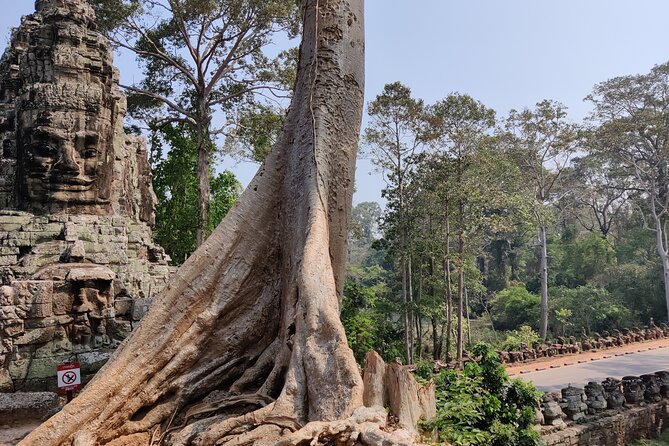 Angkor Wat Temple Tour With Own Tuk Tuk Driver - Highlights From Reviews