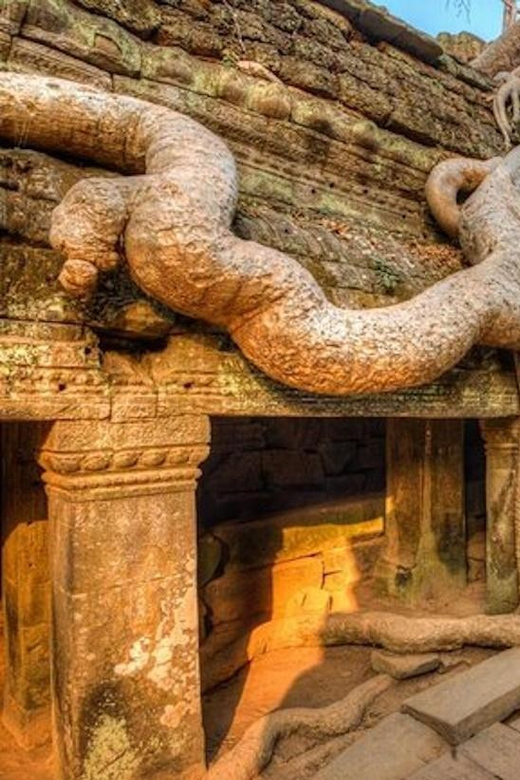 Angkor Wat: the Ultimate Temple Tour - 6 Days With 5* Hotel - Good To Know
