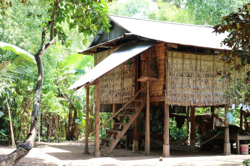 Angkor Wat: Tuk Tuk and Walking Tour - Pricing and Availability