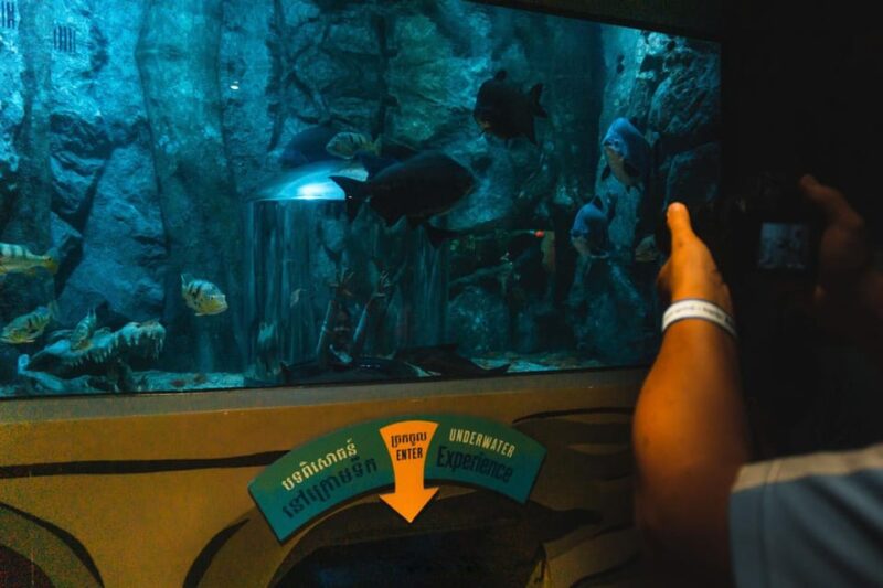 Angkor Wildlife & Aquarium - Reptile House Encounters