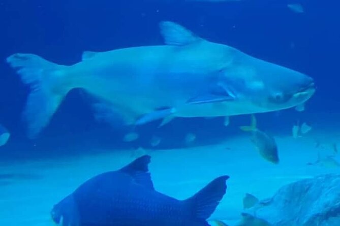 Angkor Wildlife & Aquarium Halfday Tour - Inclusions