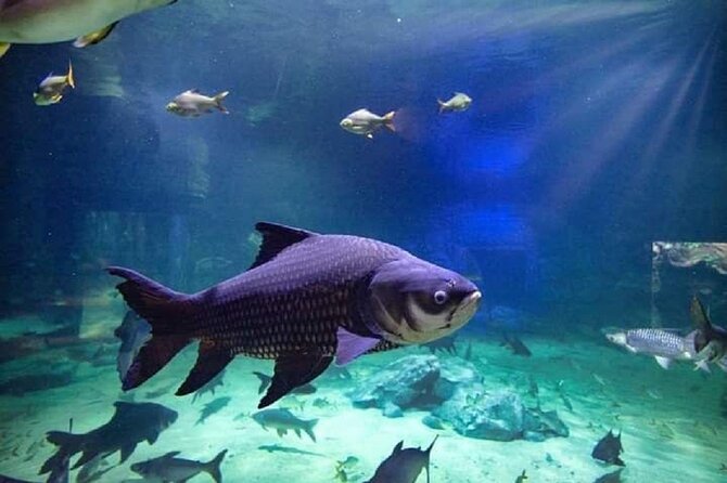 Angkor Wildlife & Aquarium Halfday Tour - Reviews