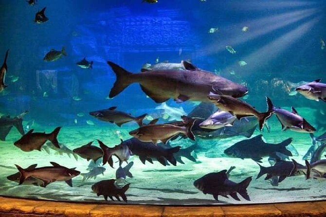 Angkor Wildlife & Aquarium Halfday Tour - Explore the Angkor Wildlife