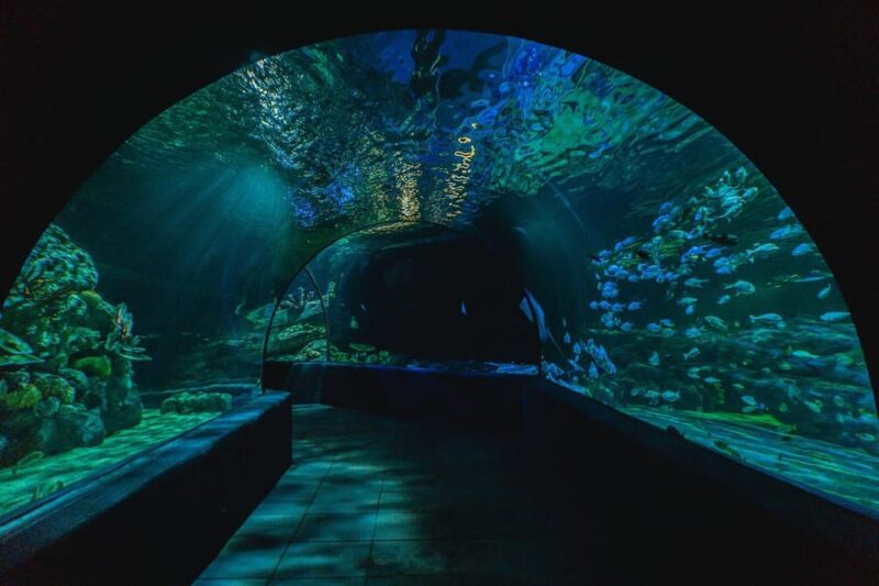 Angkor Wildlife & Aquarium - Reptile House Encounters
