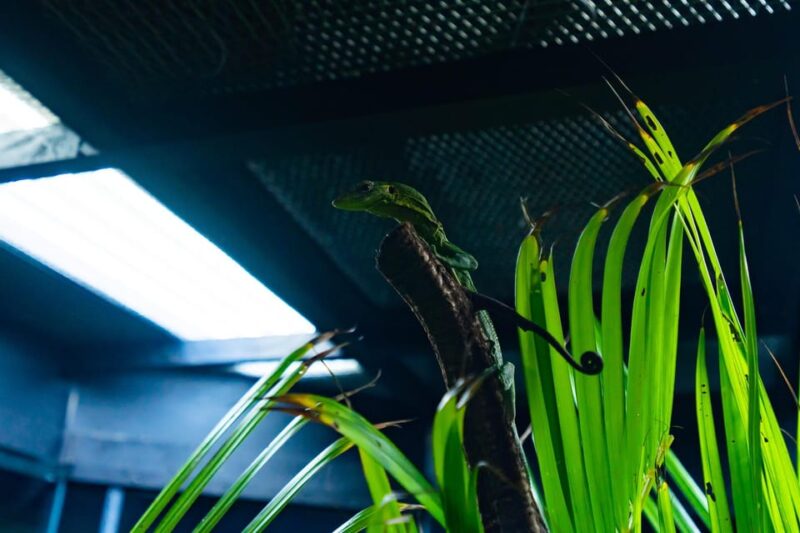 Angkor Wildlife & Aquarium With Private Transfer - Pricing and Booking