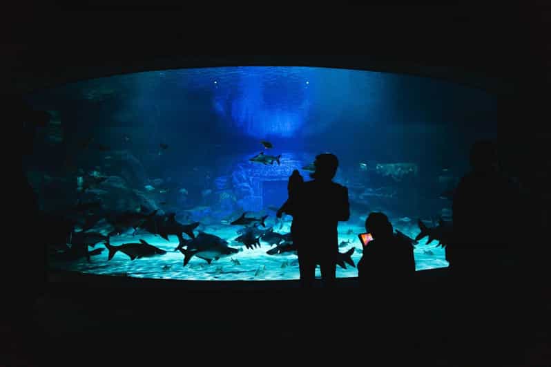 Angkor Wildlife & Aquarium With Private Transfer - Customer Feedback and Ratings