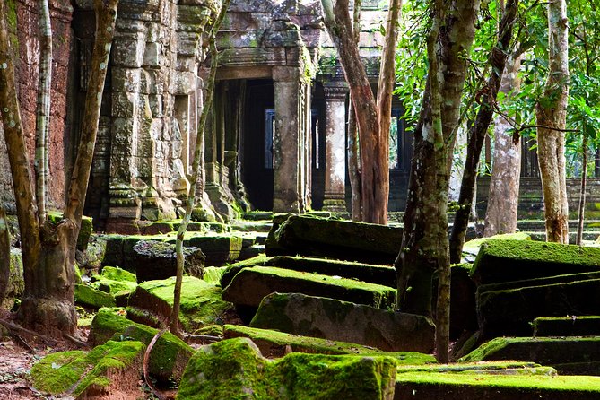 Angkor's Magical Beng Mealea and Koh Ker - Tour Overview