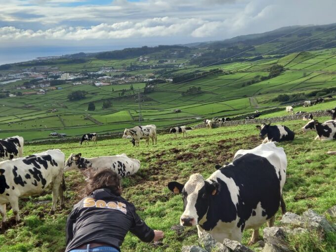 Angra Do Heroísmo: Third Island Half-Day Tour - Panoramic Views From Serra Do Cume