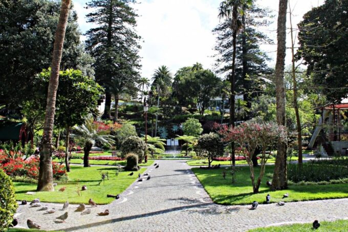 Angra Do Heroísmo: Walking Tour With Local Pastry and Coffee - Highlights of the Tour