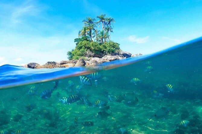 Angra Dos Reis and Ilha Grande Boat Tour From Rio De Janeiro - Inclusions and Amenities