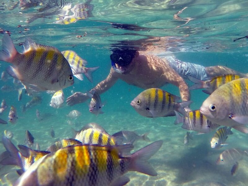 Angra Dos Reis and Ilha Grande: Small-Group Fast-Boat Tour - Tour Details