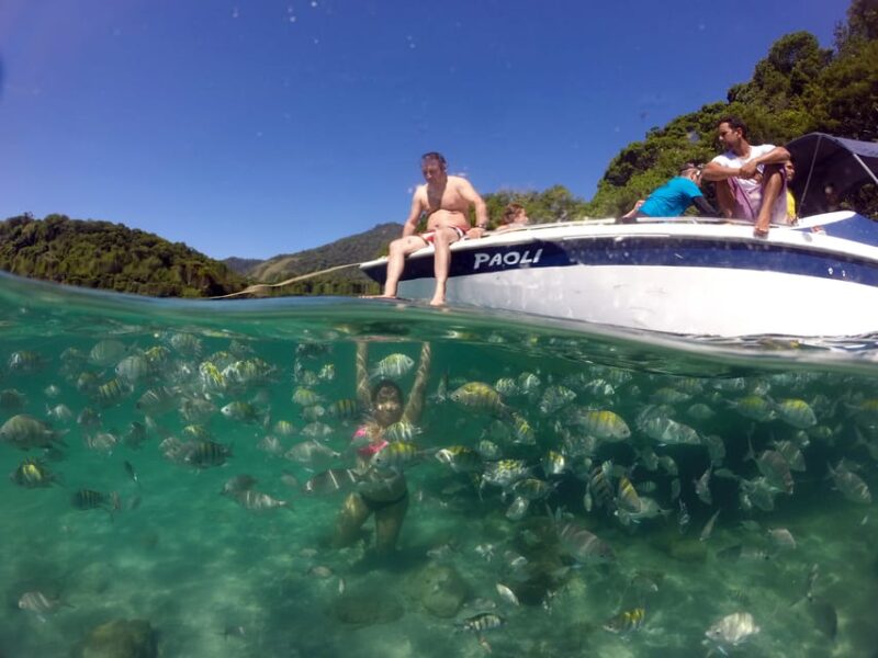 Angra Dos Reis and Ilha Grande: Small-Group Fast-Boat Tour - Included in the Tour