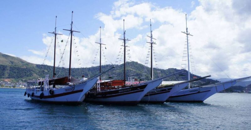 Angra Dos Reis: Boat Tour in Ilha Grande and Lagoa Azul - Praia De Araçá: a Scenic Gem