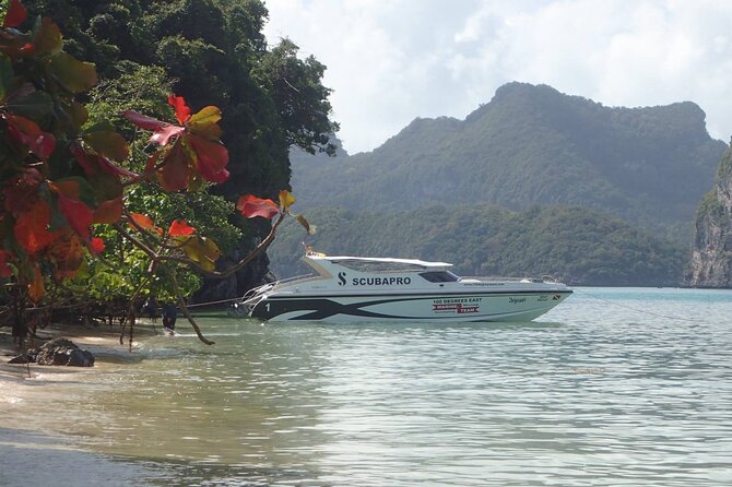 Angthong Marine Park VIP Guided Tour - Booking Information