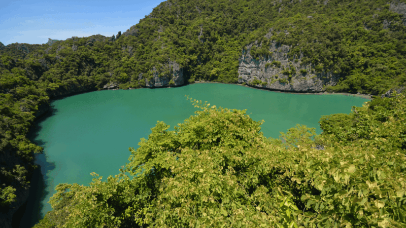 Angthong National Marine Park By Speedboat - Diverse Marine Life