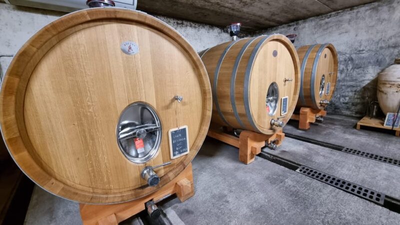 Aniane: Château Capion Wine Tasting Experience - Location and Setting