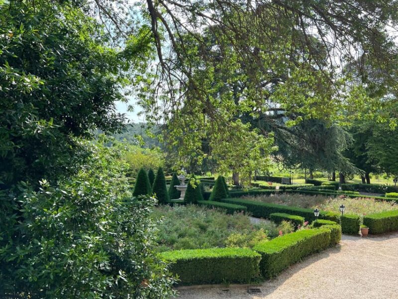 Aniane: Château Capion Wine Tasting Experience - Customer Feedback