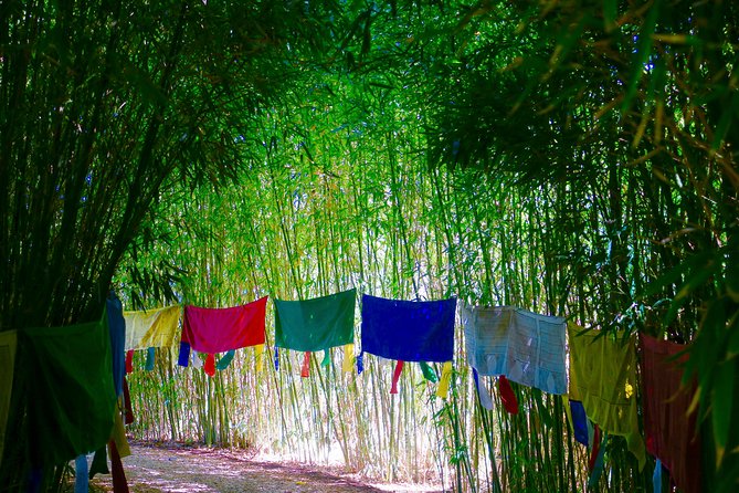 Anima Garden Admission Ticket - Admission for Children