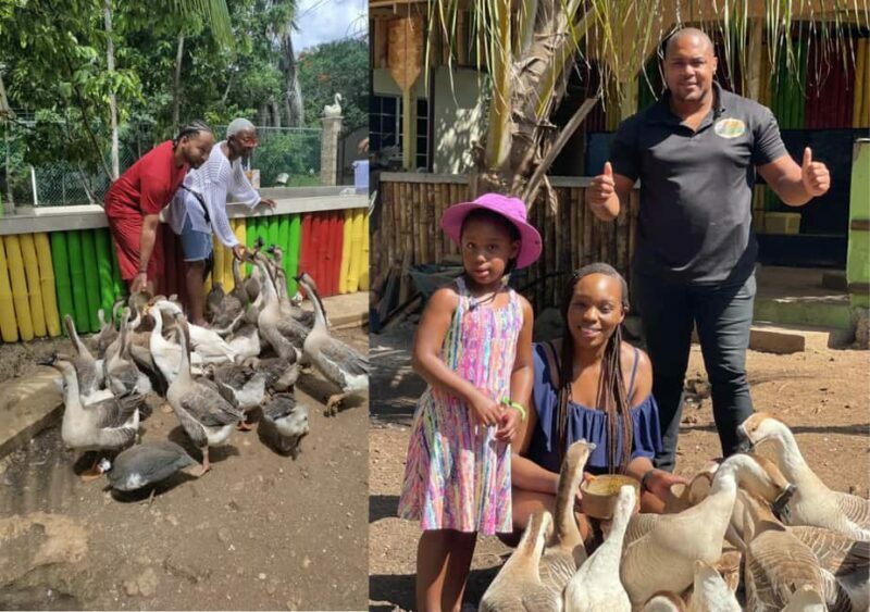 Animal & Bird Farm with Private Transport - Discover the Birds of Jamaica: Animal & Bird Farm with Private Transport