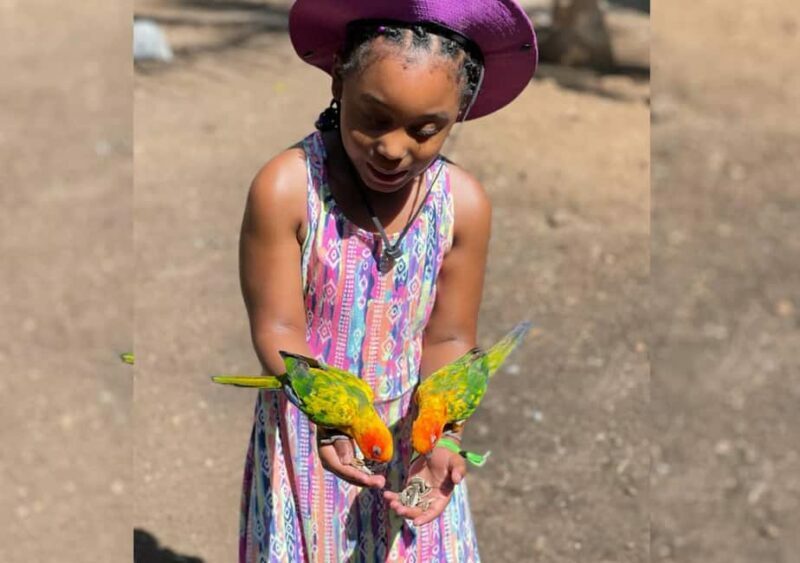 Animal & Bird Farm with Private Transport - Key Points