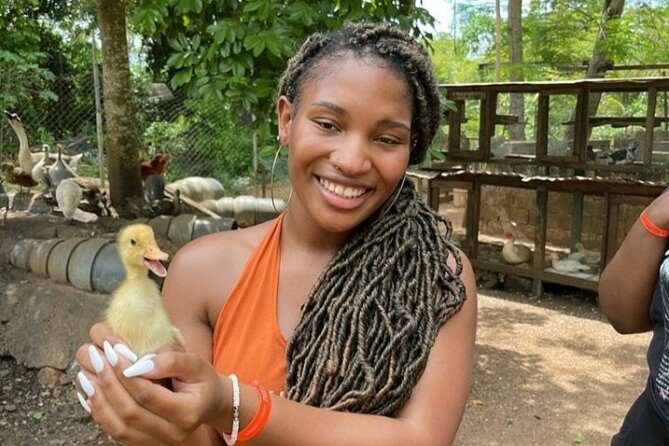 Animal Farm (Mini Zoo) , Bamboo Rafting and Limestone Massage Private Tour - Explore the Animal Farm