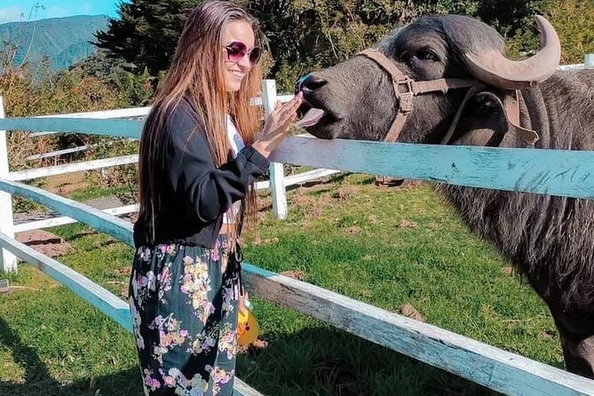 Animalpark | Giant Slide | Pachamama Hand - Key Points