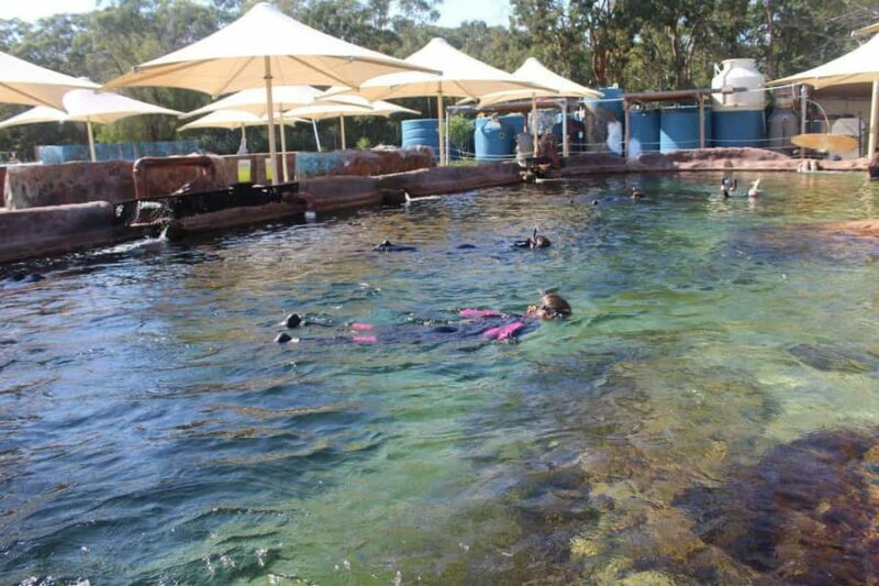 Anna Bay: Irukandji Entry + Coastal Currents Snorkel - Key Points