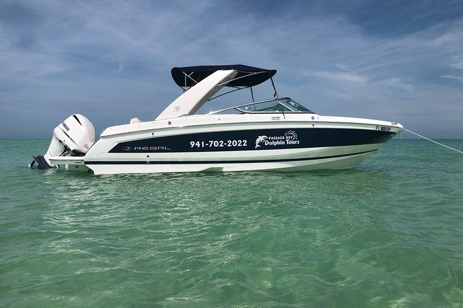Anna Maria island 2 hour Dolphin Tours - What to Expect from the Tour