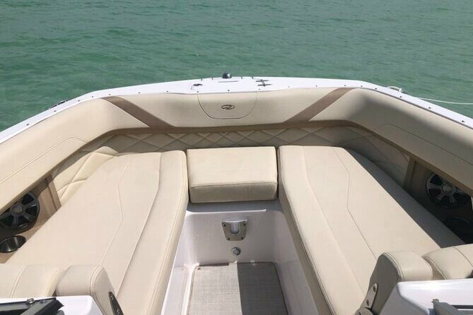 Anna Maria island 2 hour Dolphin Tours - Who Will Love This Tour?